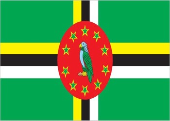 DO-flag