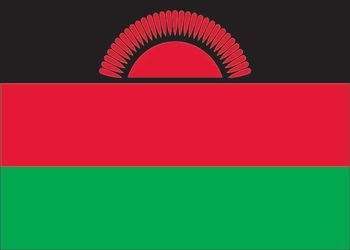 MI-flag