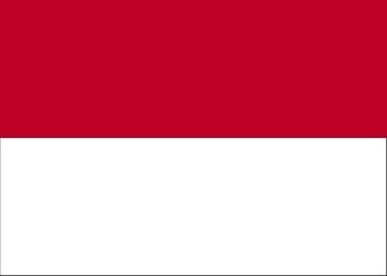 MN-flag