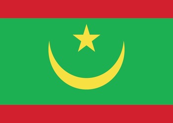 MR-flag