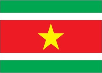 NS-flag