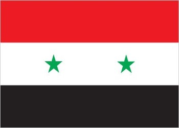 SY-flag