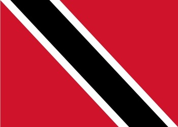 TD-flag